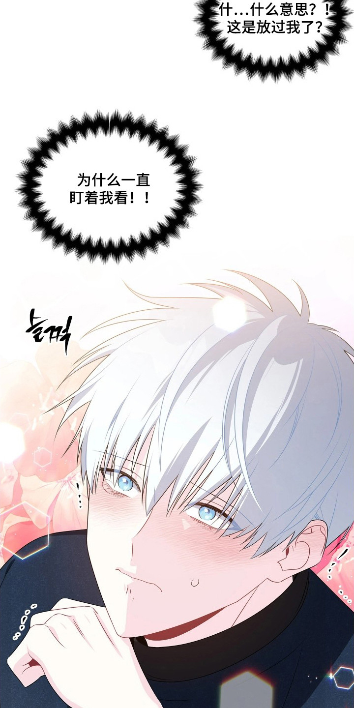 第5话：第5章：捡回去预览分镜