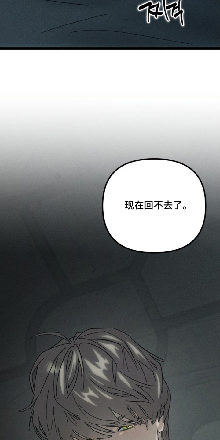 第10话：第10章：没打算回去预览分镜
