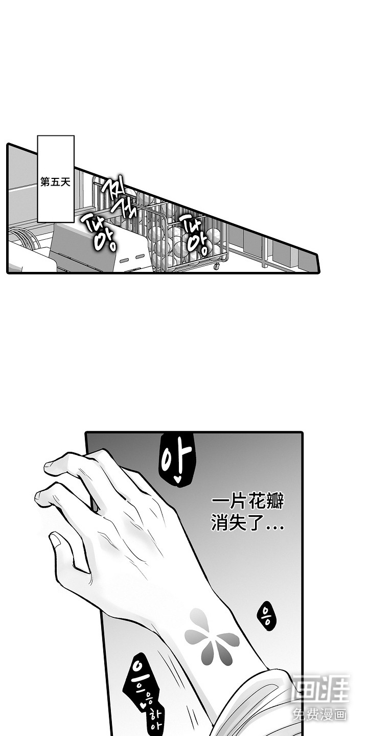 第5话：第5章：割裂预览分镜