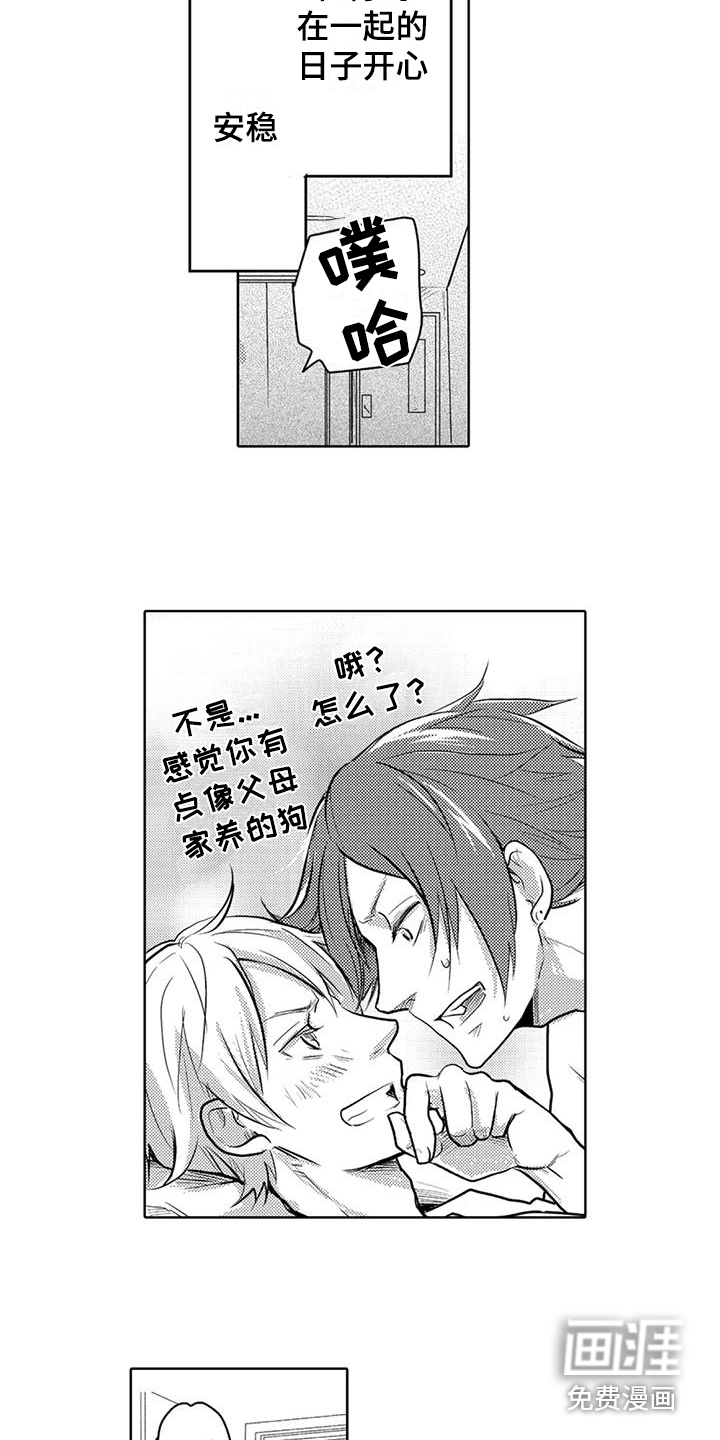 第14话：第14章：迷茫预览分镜