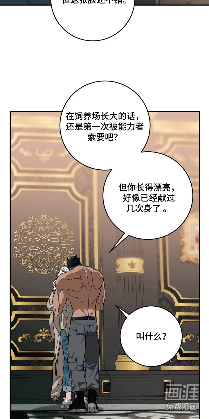 第5话：第5章：代替预览分镜