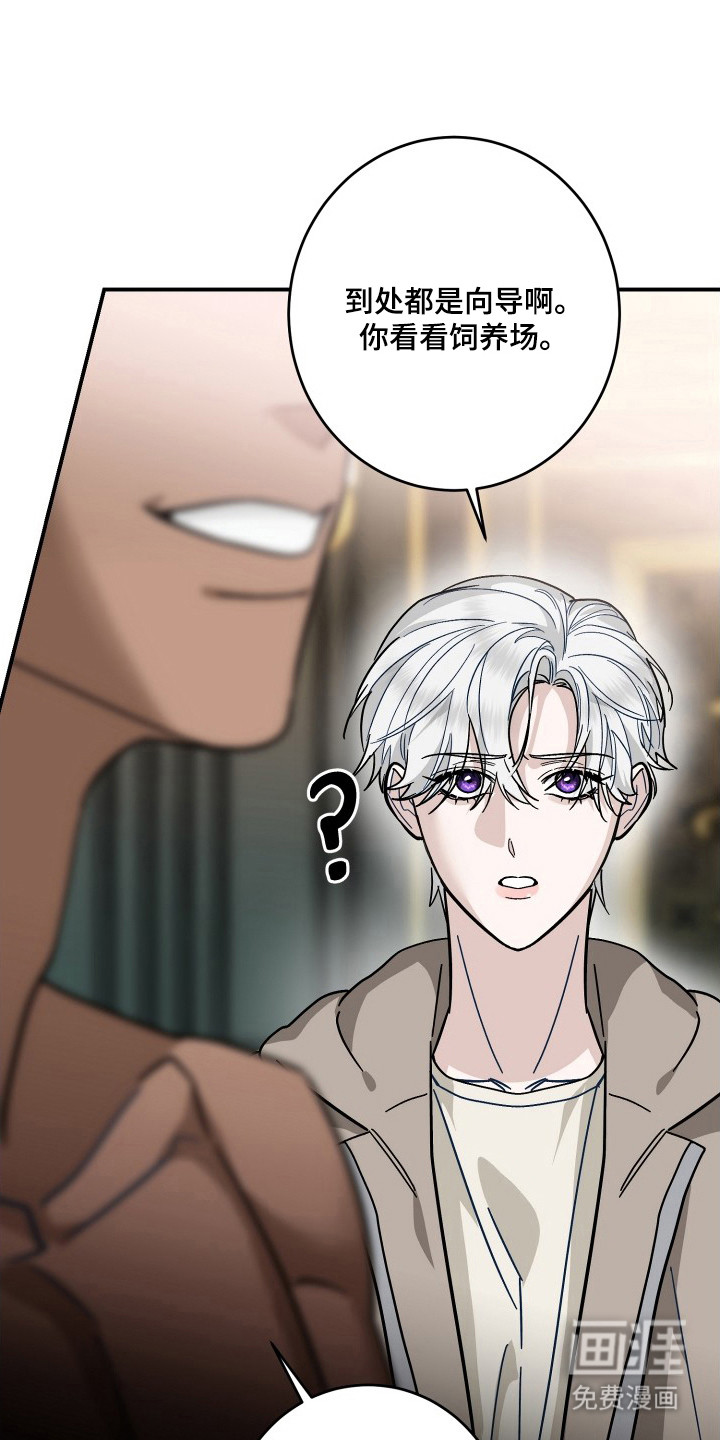 第9话：第9章：别着急预览分镜