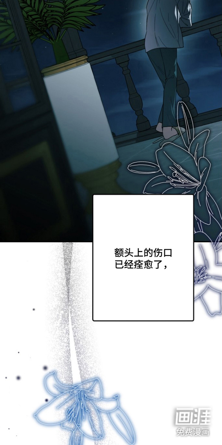第17话：第17章：误会了预览分镜