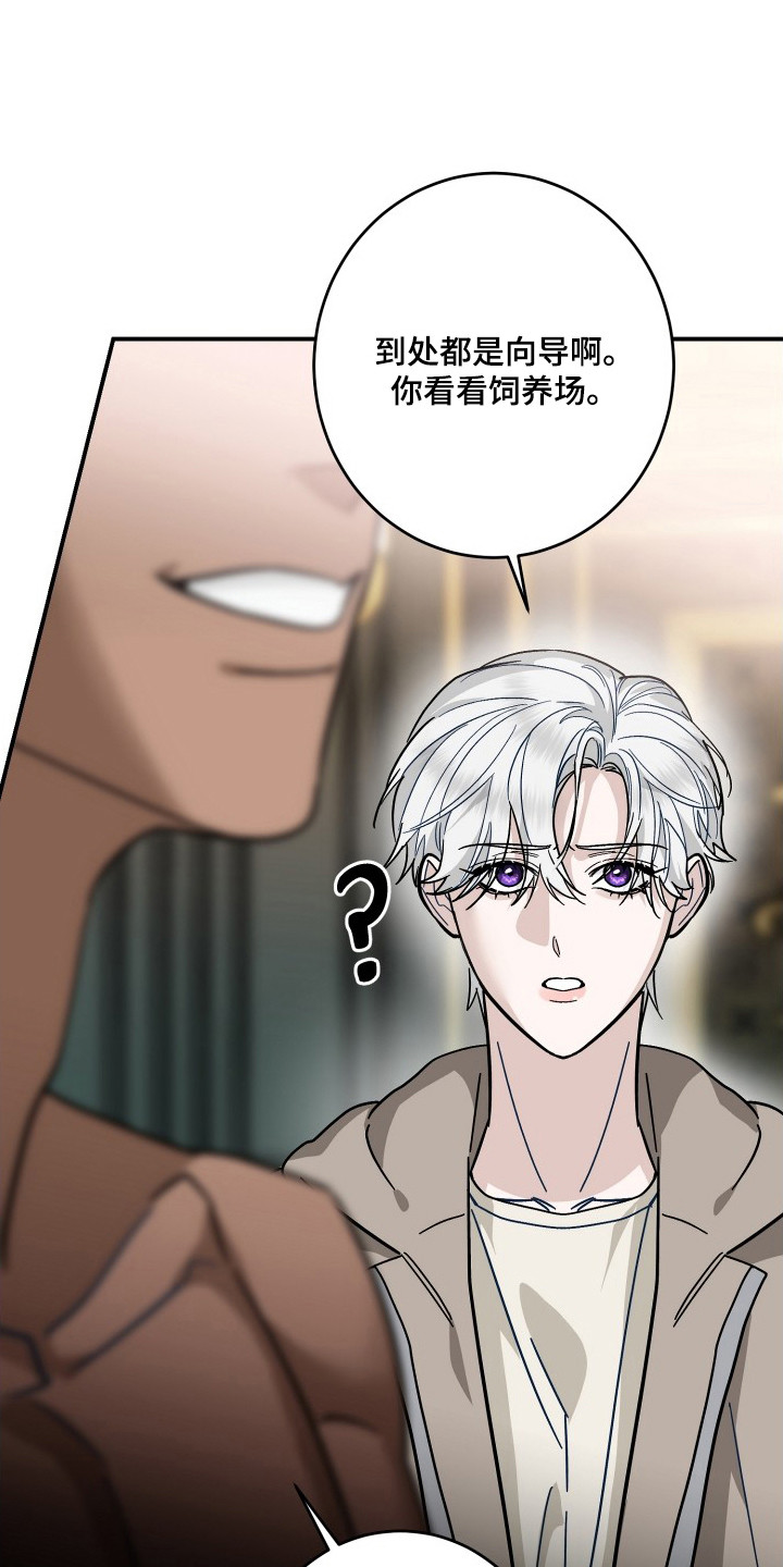 第10话：第10章：别着急预览分镜