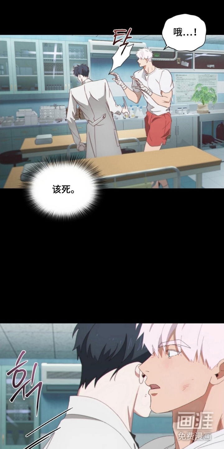 第17话：第17章：和往常一样预览分镜