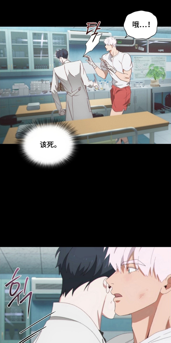第17话：第17章：和往常一样预览分镜