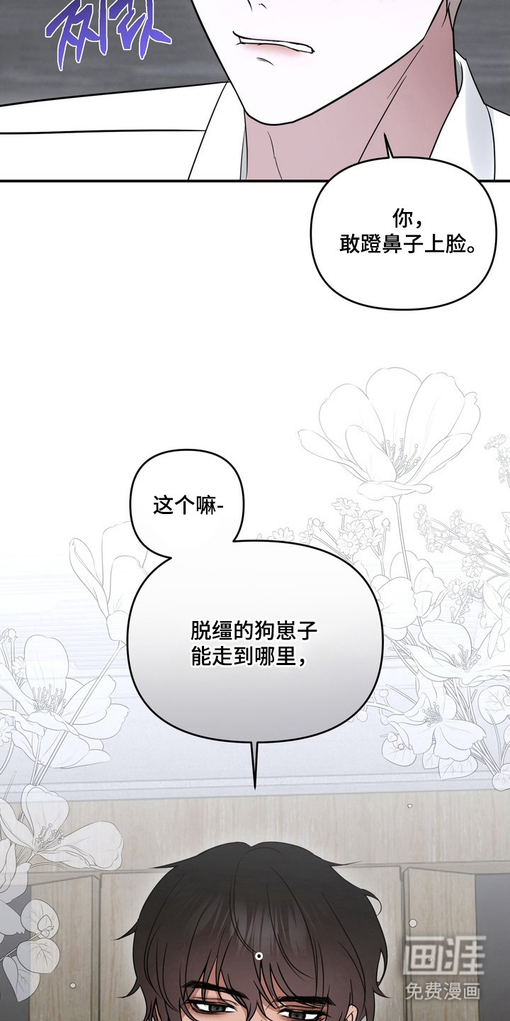 第14话：第14章：蹬鼻子上脸预览分镜