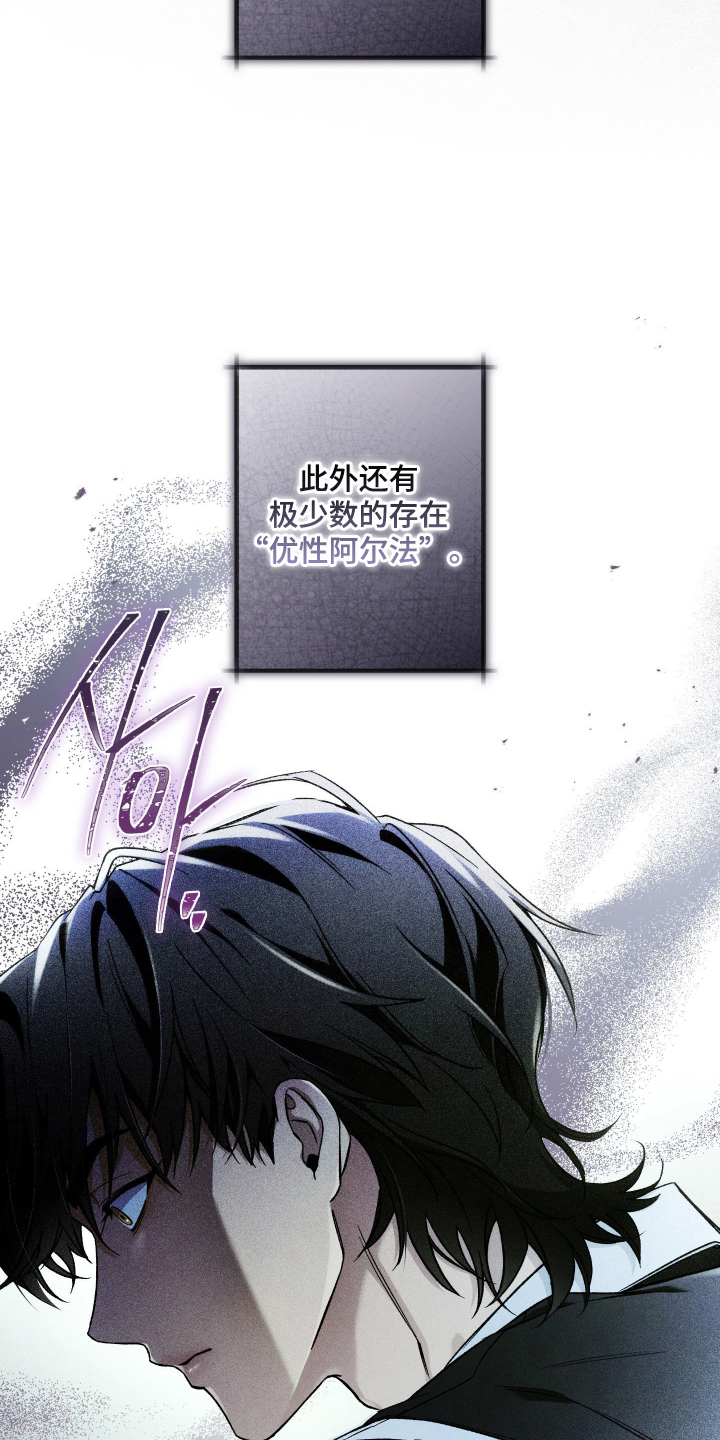 第4话：第4章：手机预览分镜