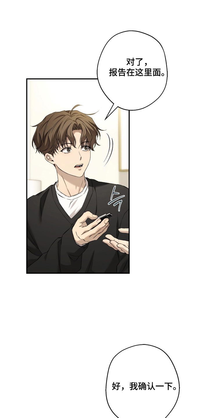 第11话：第11章：确认报告预览分镜