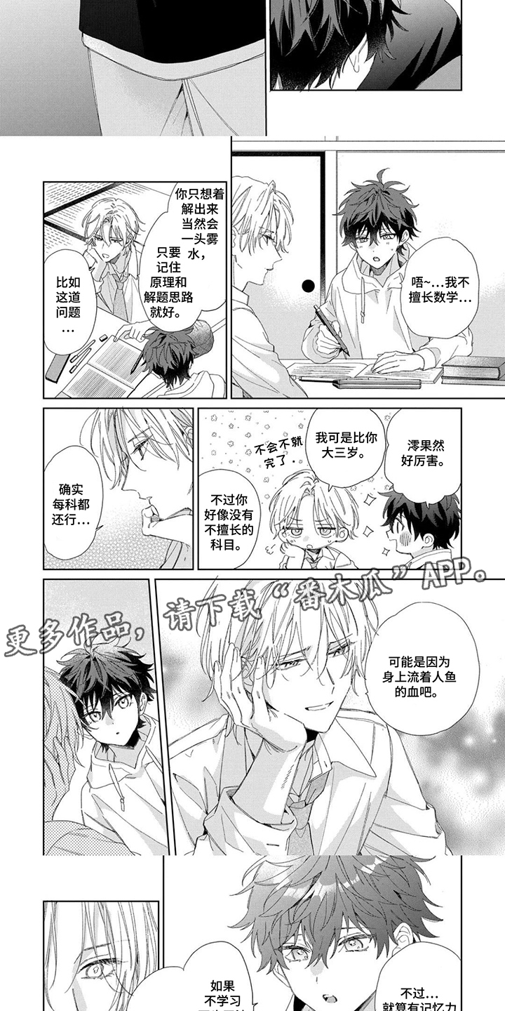 第15话：第15章：入迷预览分镜