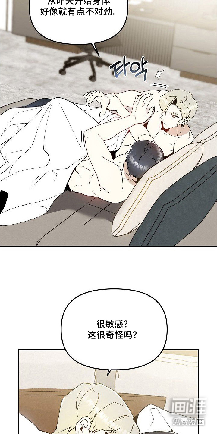 第6话：第6章：那杯酒预览分镜