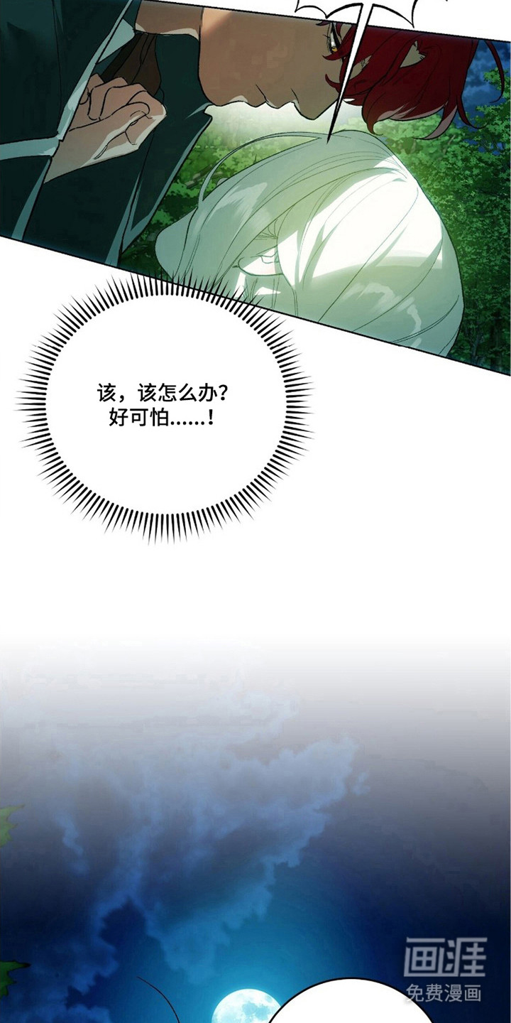 第9话：第9章：好感度预览分镜