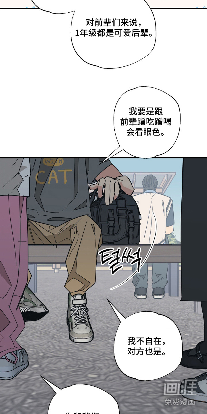 第10话：第10章：喜欢你预览分镜