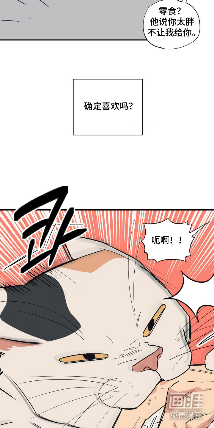 第11话：第11章：不能不管预览分镜