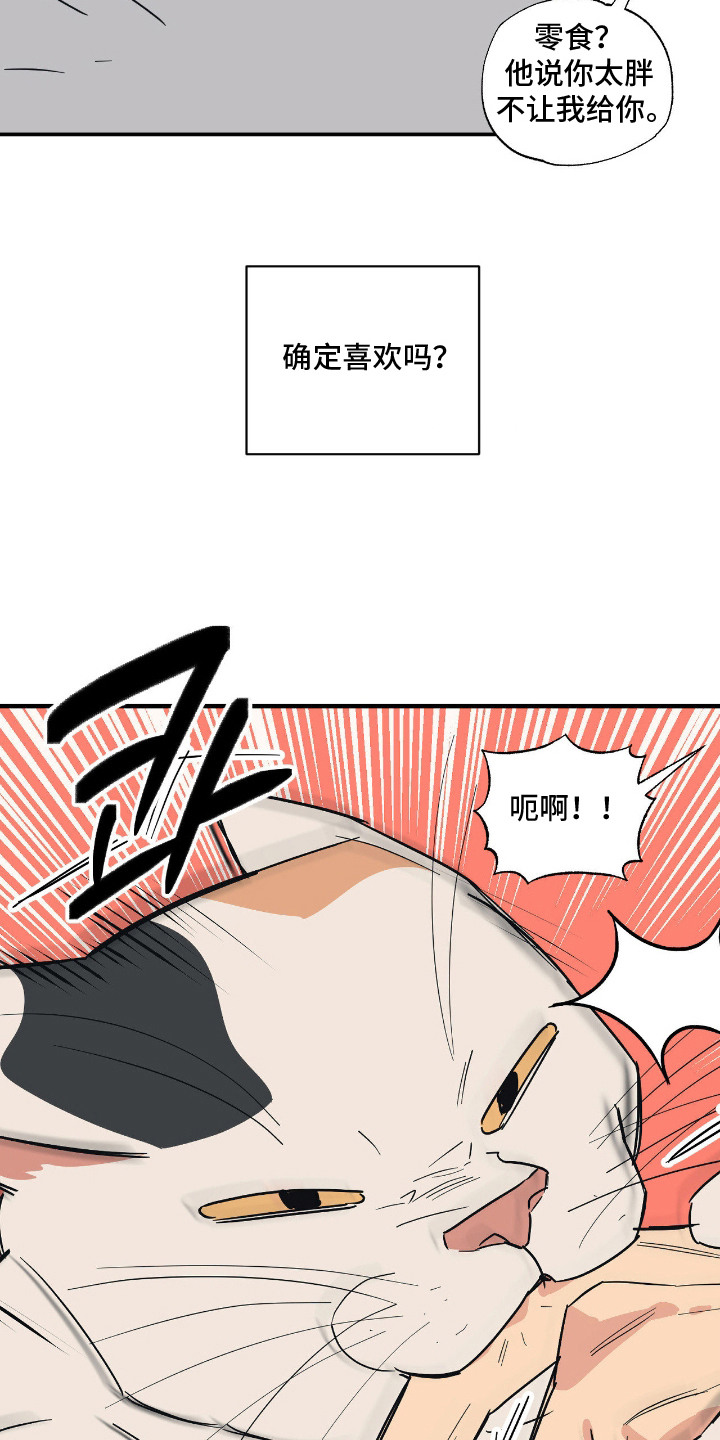 第11话：第11章：不能不管预览分镜