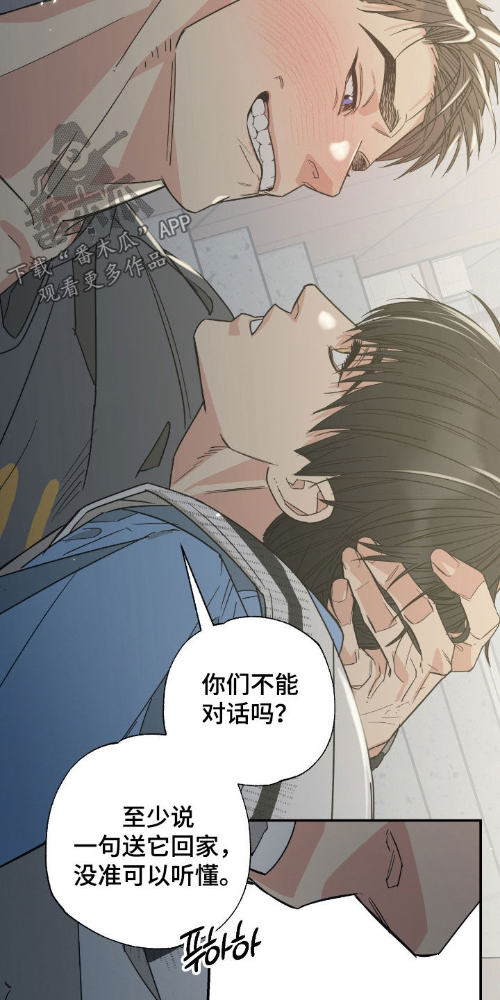 第16话：第16章：如你所愿预览分镜