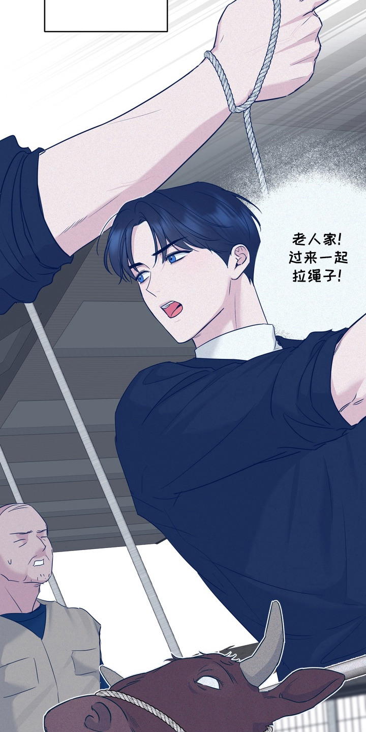 第5话：第5章：不是梦预览分镜