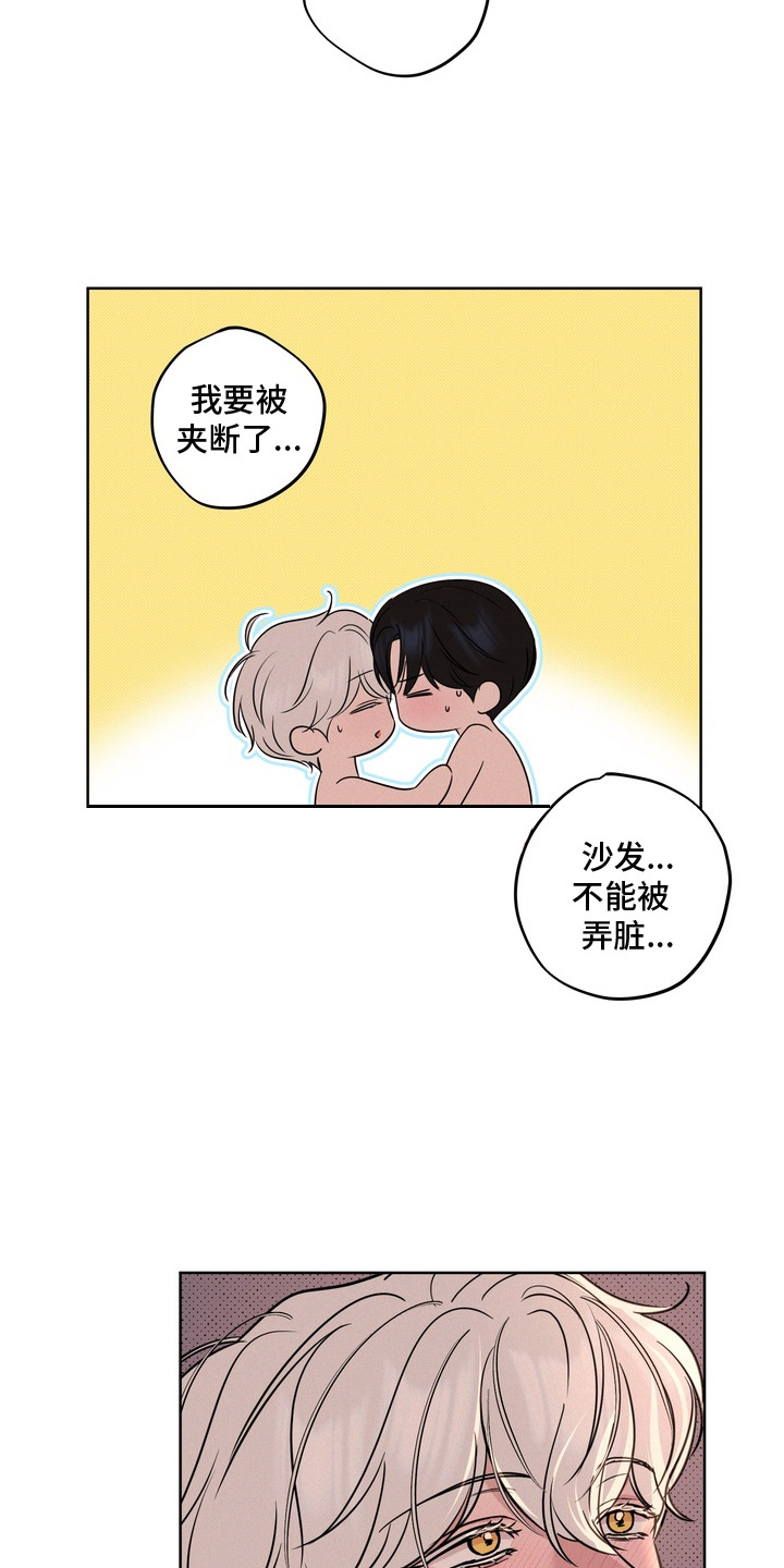 第14话：第14章：一直在一起（完结）预览分镜