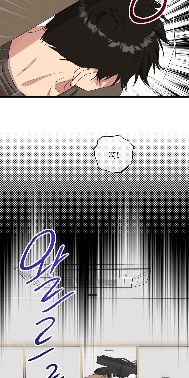第11话：第11章：生龙活虎预览分镜