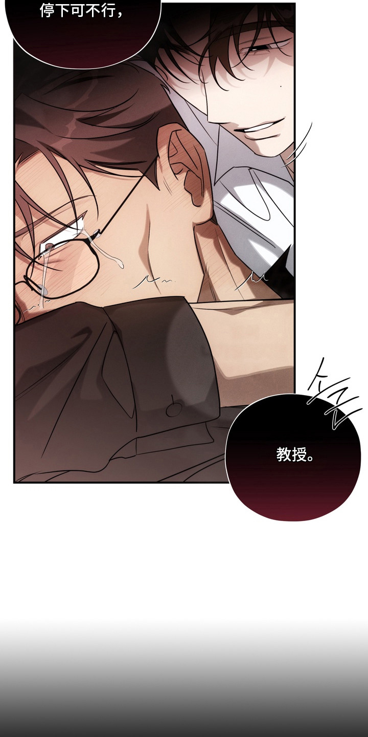第5话：第5章：真可笑预览分镜