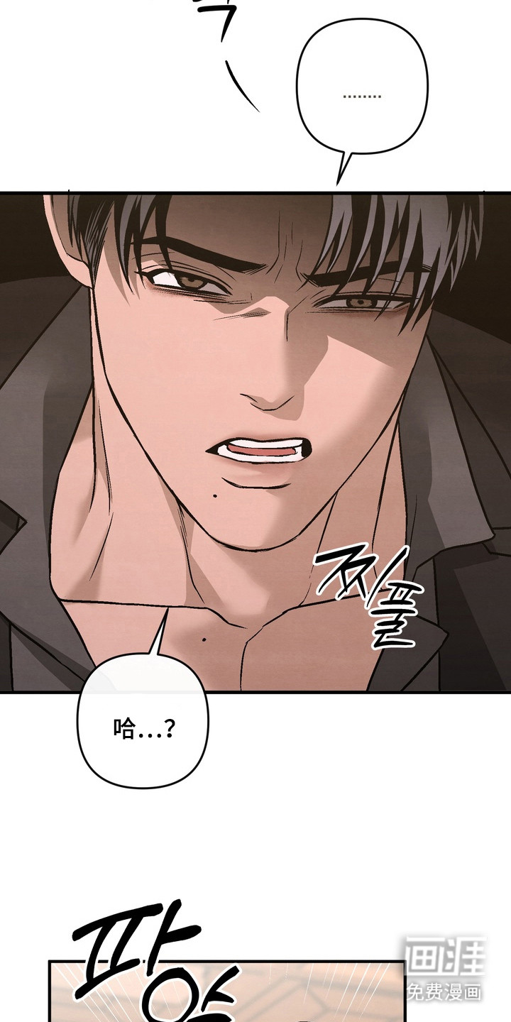 第4话：第4章：狗盆预览分镜