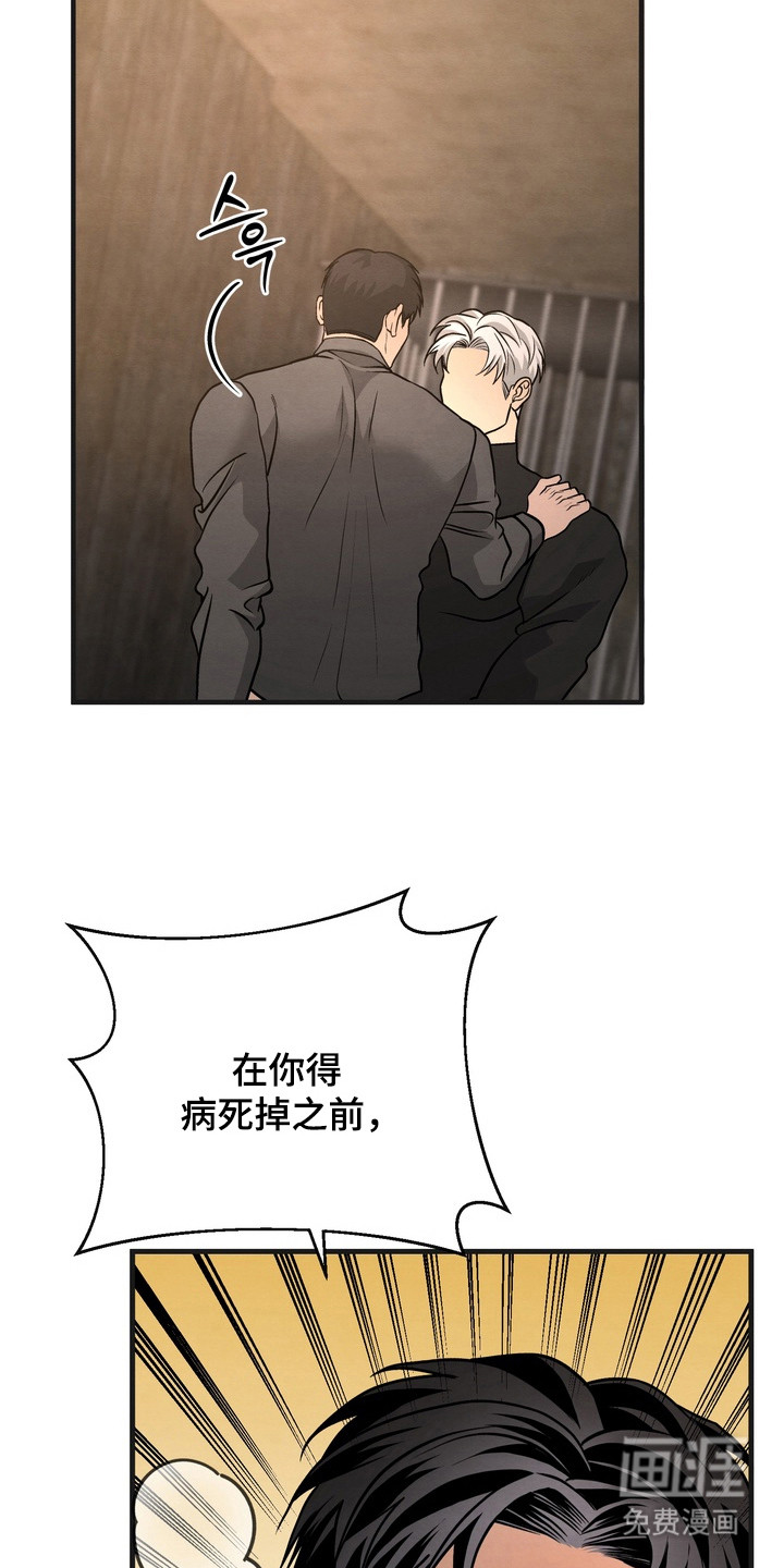 第10话：第10章：命令预览分镜