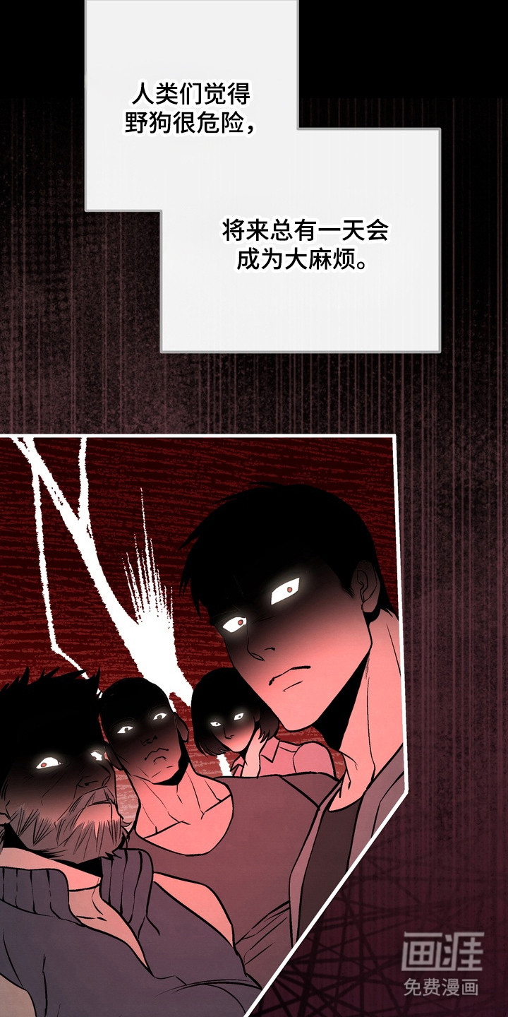 第17话：第17章：惹错人了预览分镜
