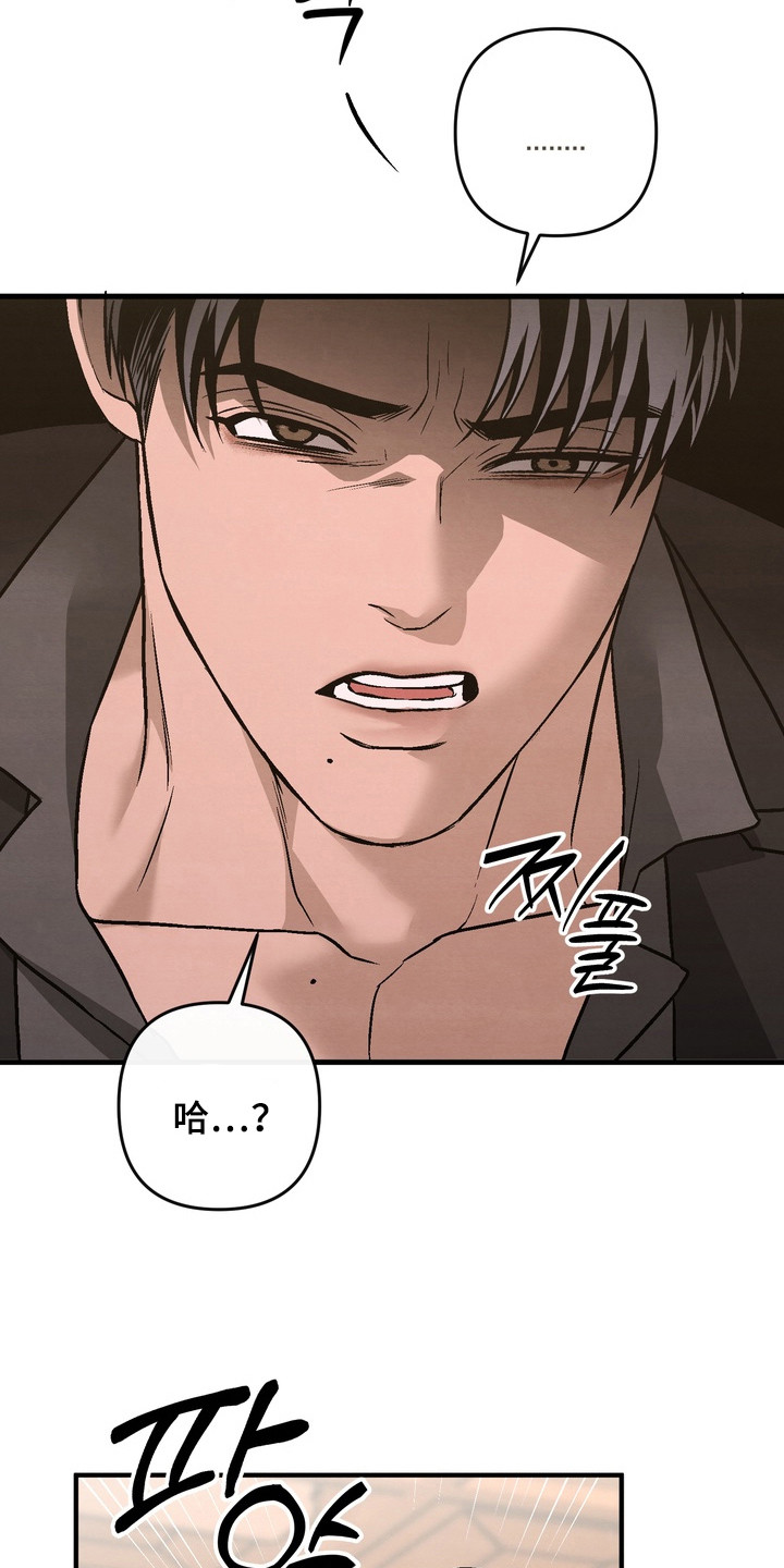 第4话：第4章：狗盆预览分镜