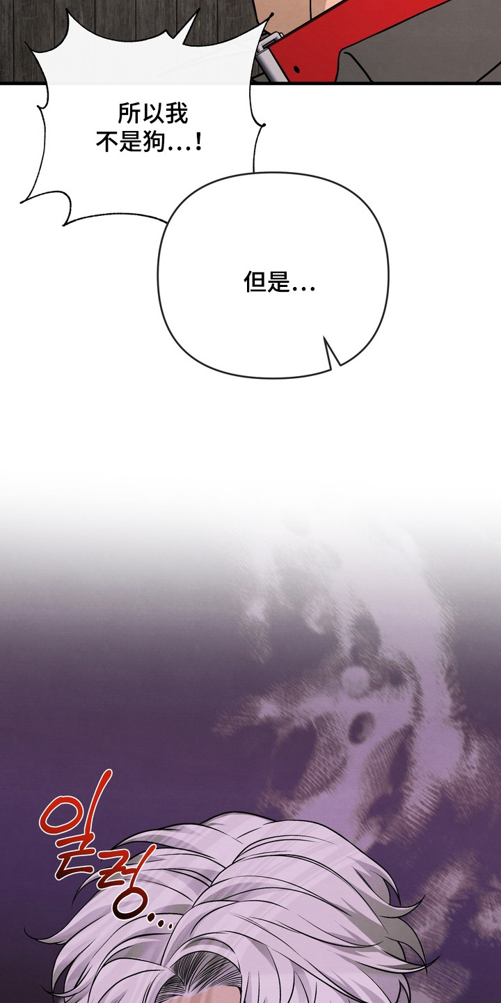 第10话：第10章：命令预览分镜