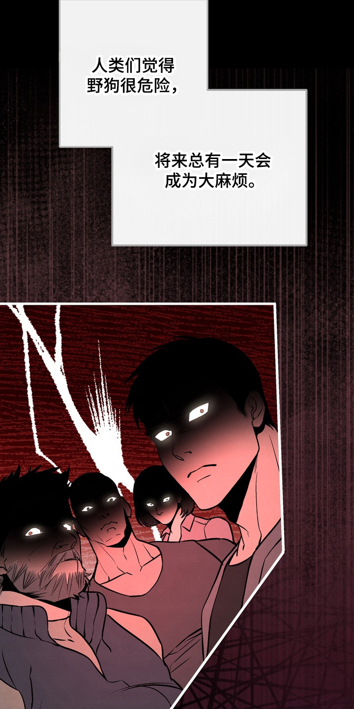 第17话：第17章：惹错人了预览分镜