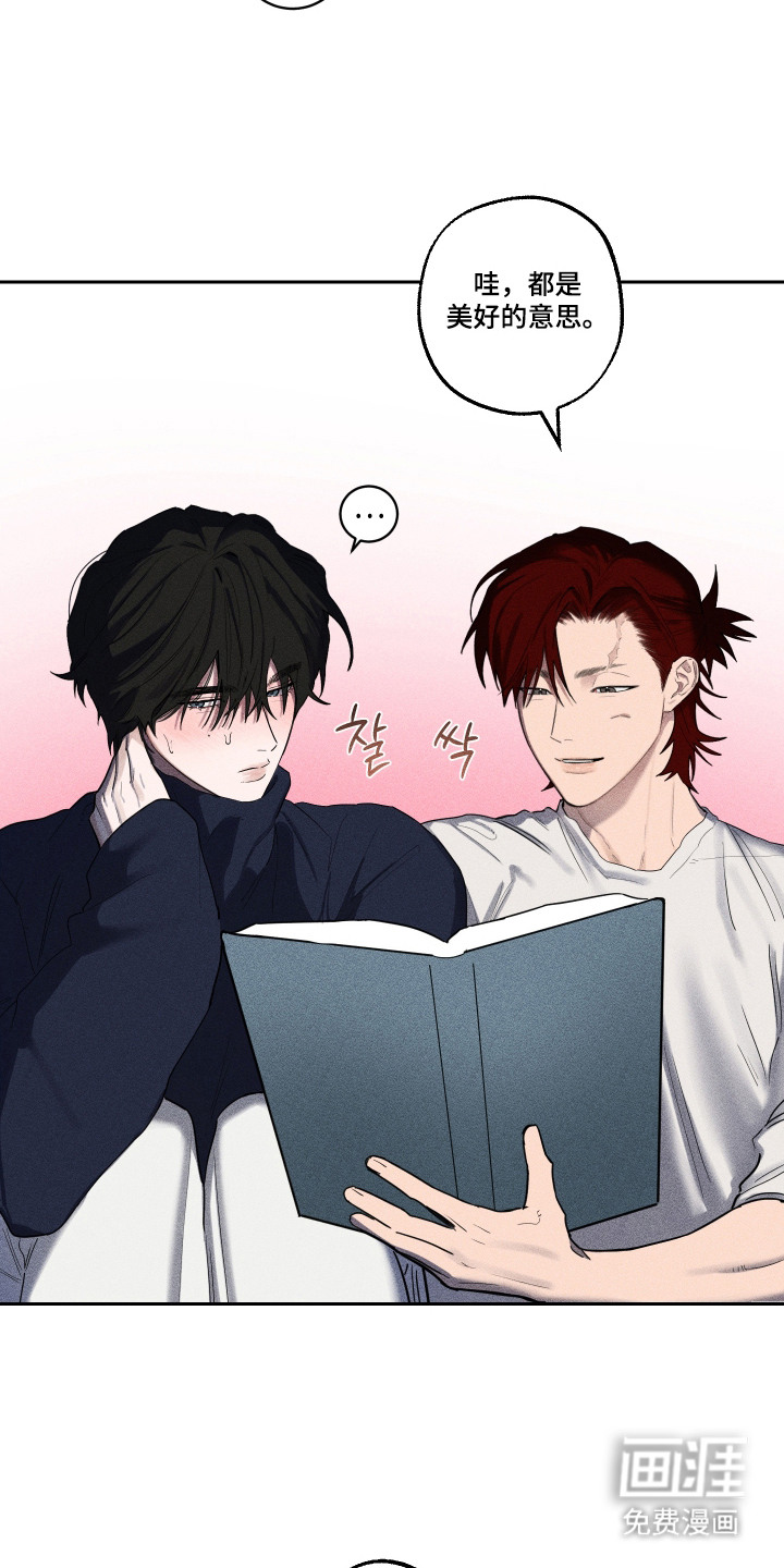 第5话：第5章：请求预览分镜