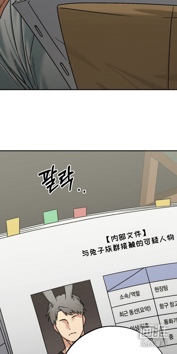 第15话：第15章：试探预览分镜