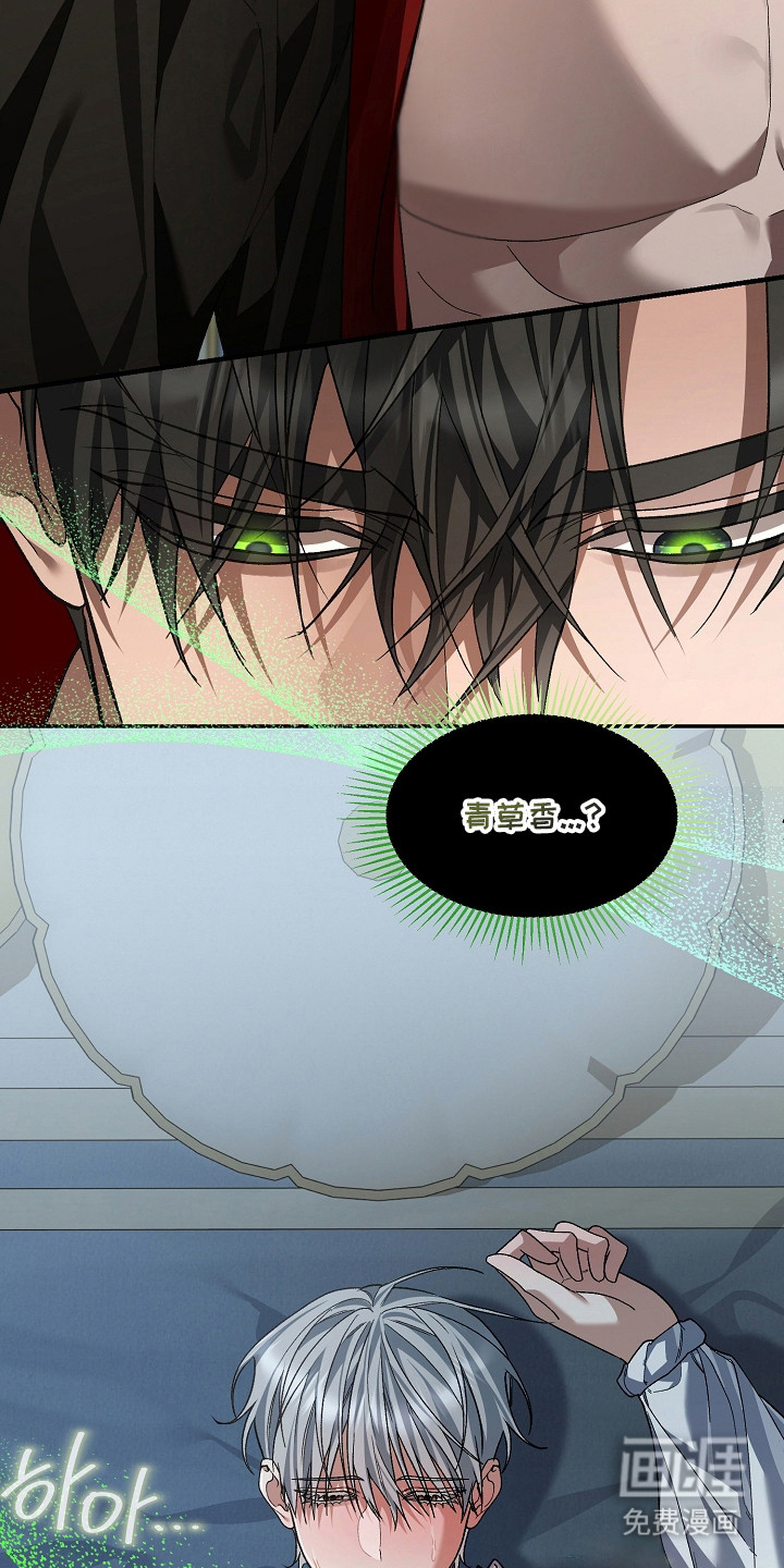 第4话：第4章：青草香预览分镜
