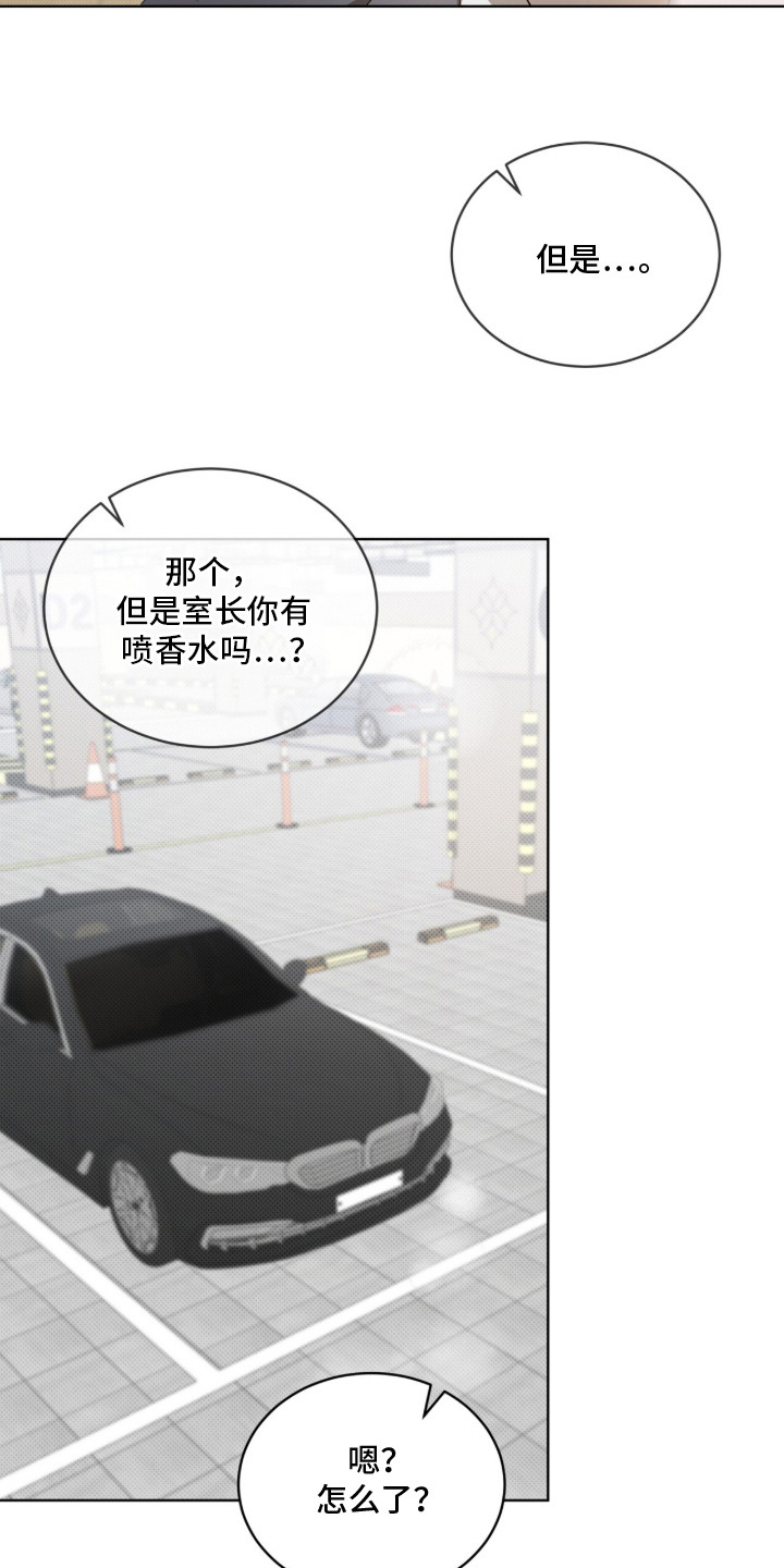 第17话：第17章：状态不好预览分镜