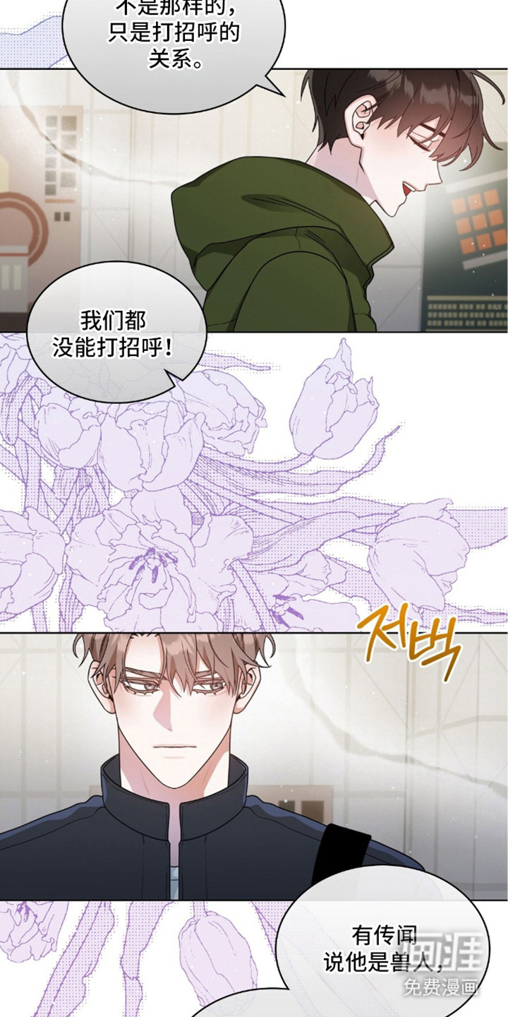 第10话：第10章：照片预览分镜