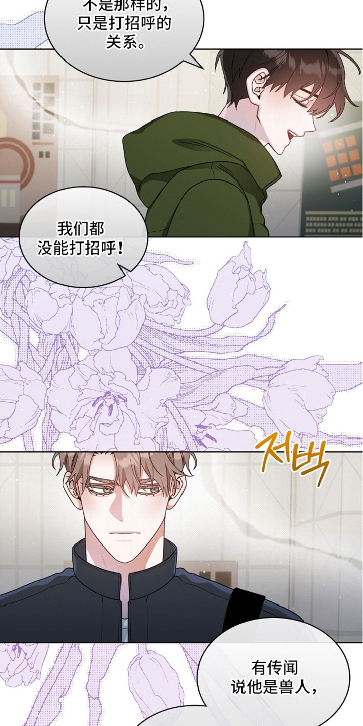 第10话：第10章：照片预览分镜