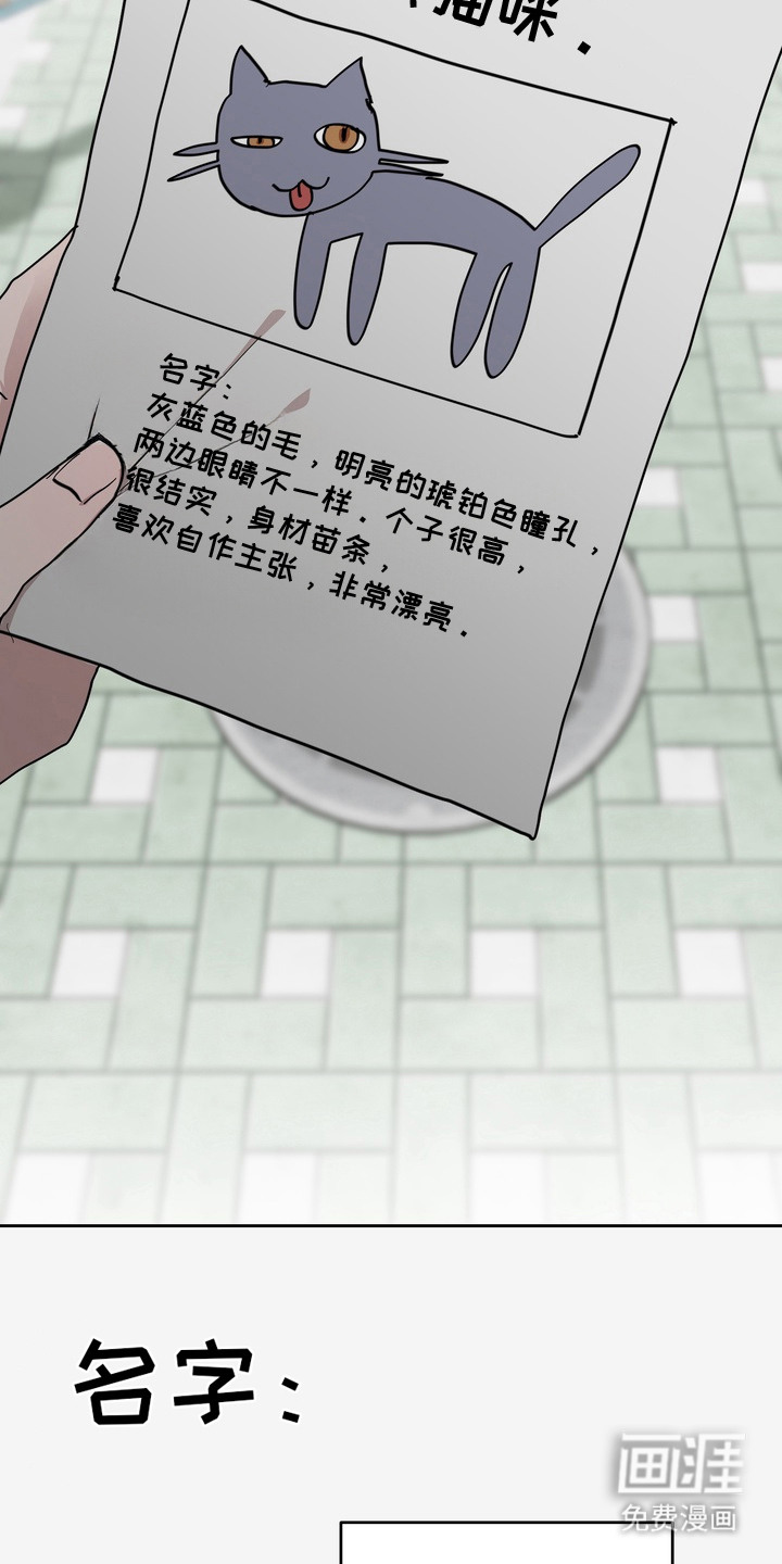 第15话：第15章：没有名字预览分镜