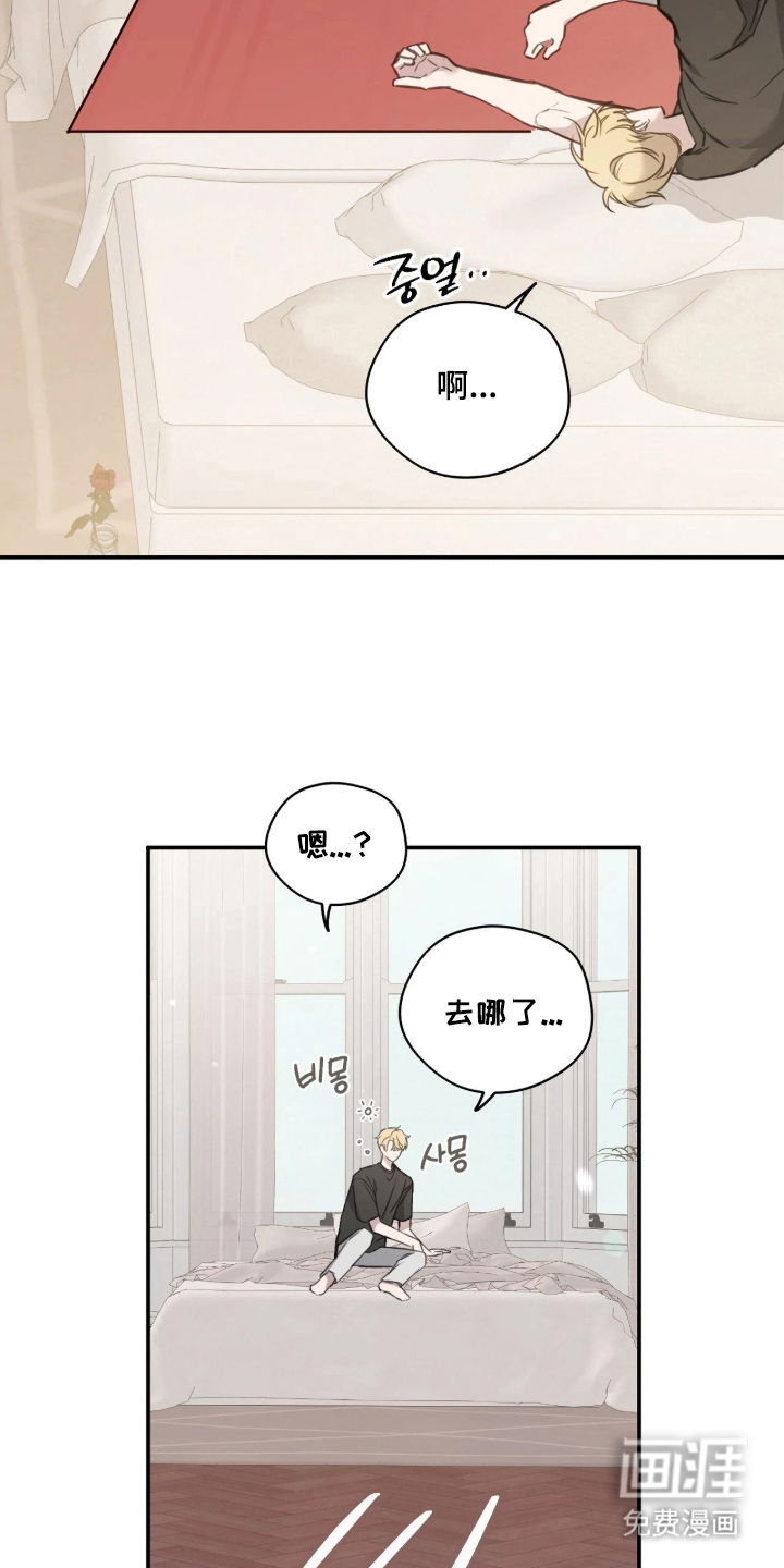 第11话：第11章：最大危机预览分镜