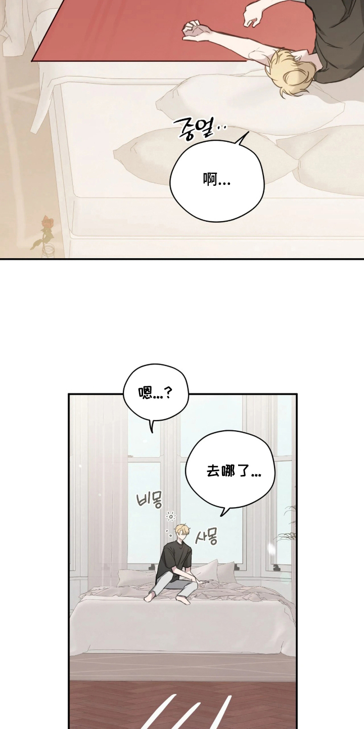 第11话：第11章：最大危机预览分镜