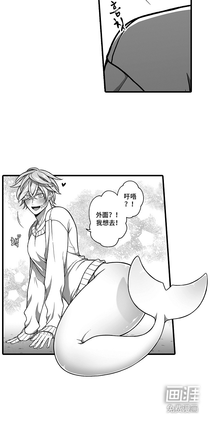 第9话：第9章：饲养申请预览分镜