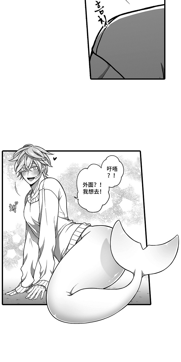 第10话：第10章：饲养申请预览分镜