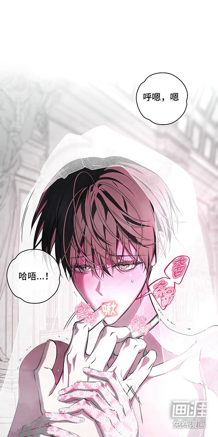 第15话：第15章：急不得预览分镜