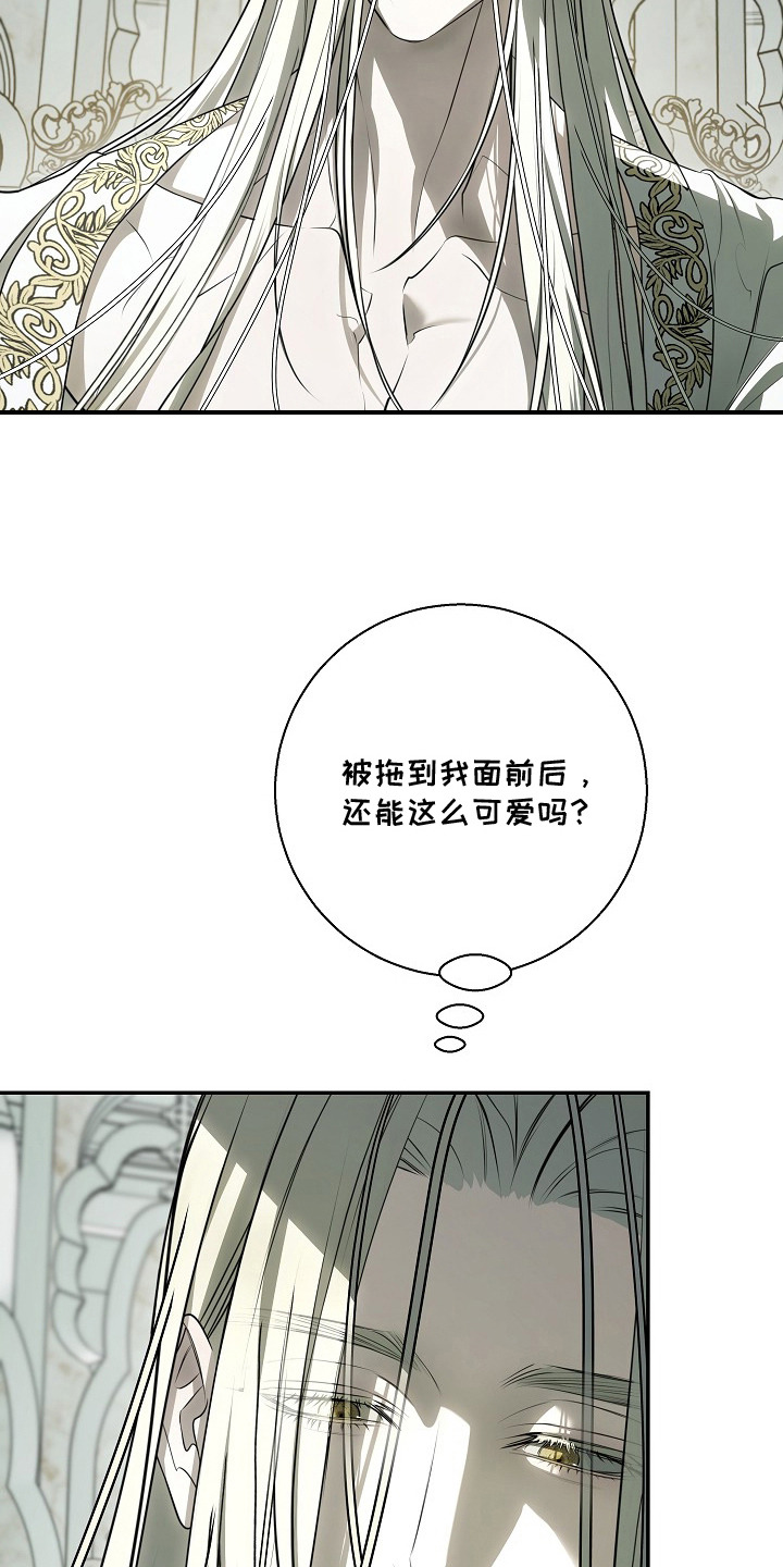 第10话：第10章：提案预览分镜
