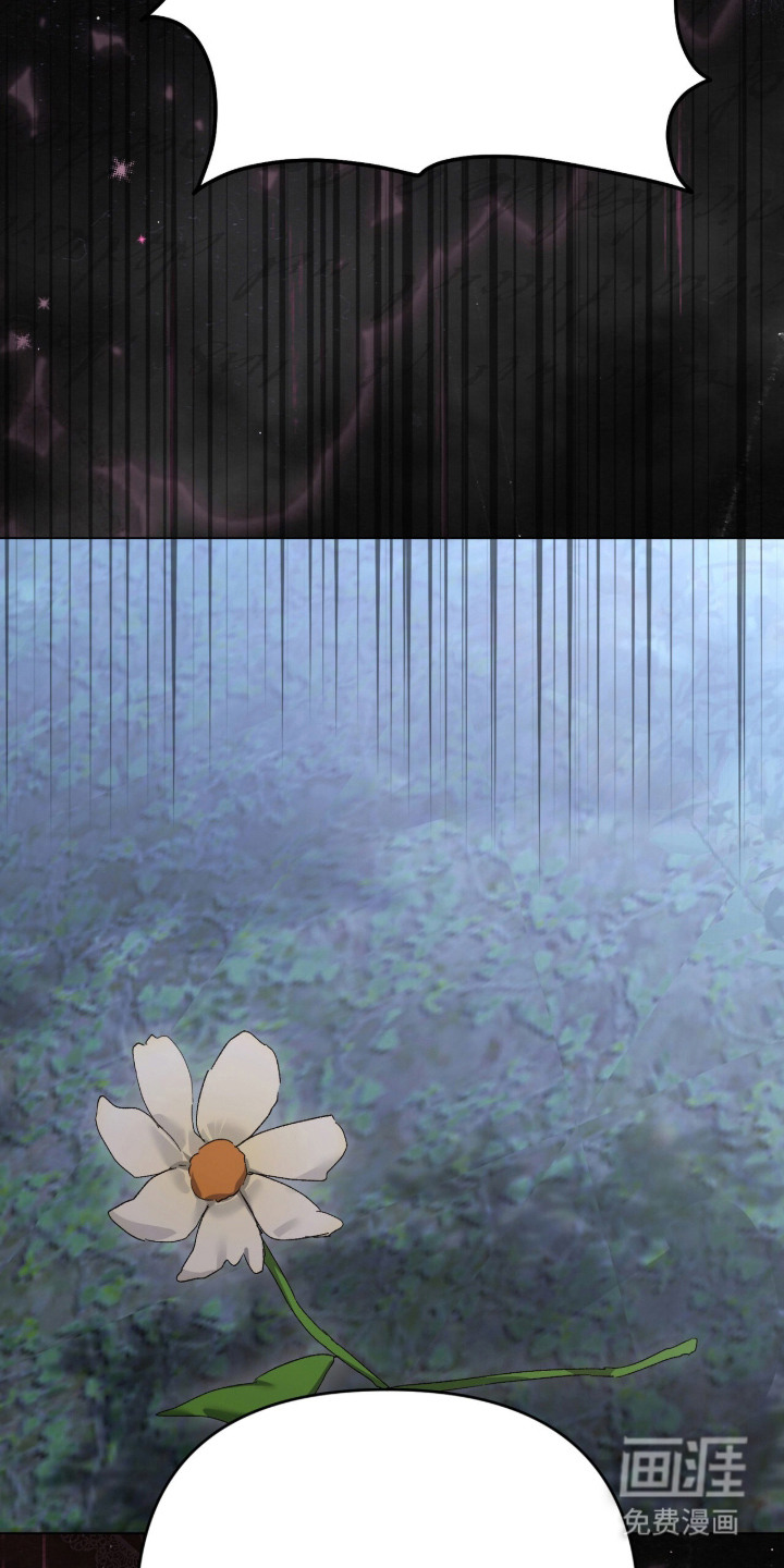 第11话：第11章：浑浑噩噩预览分镜