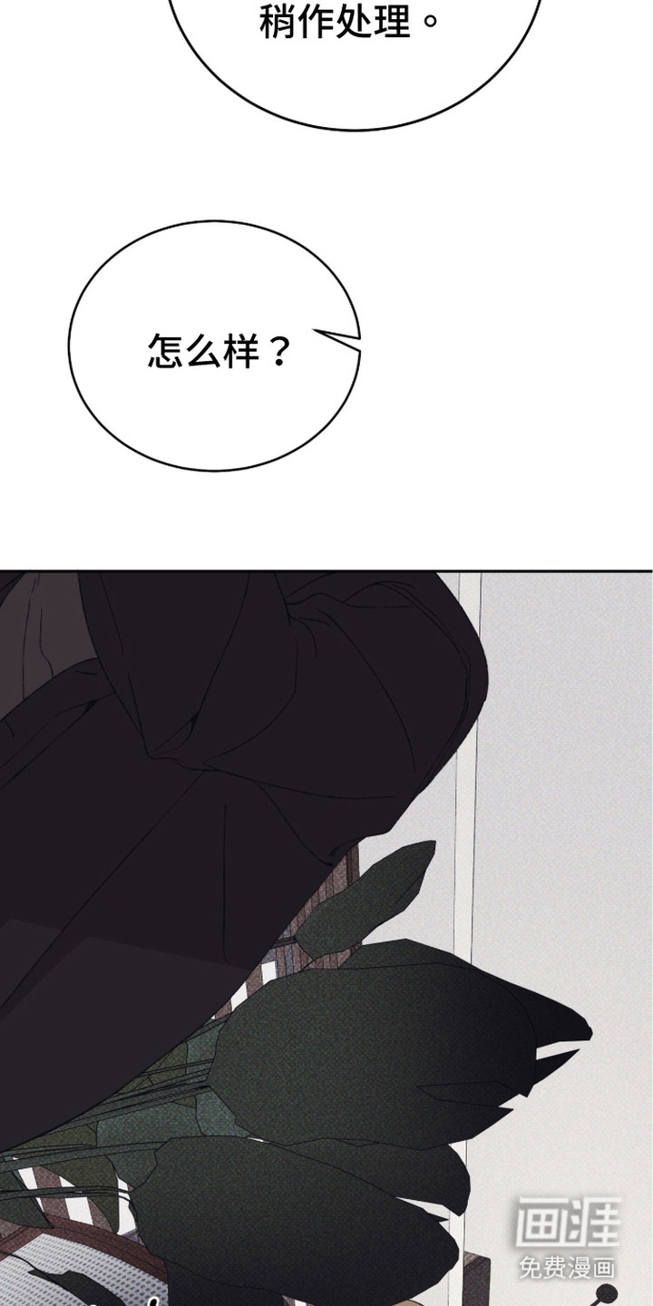 第17话：第17章：很奇怪预览分镜
