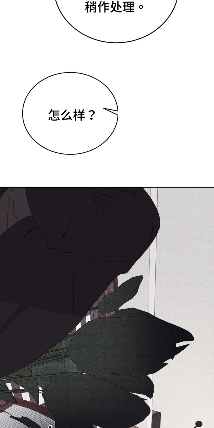 第17话：第17章：很奇怪预览分镜