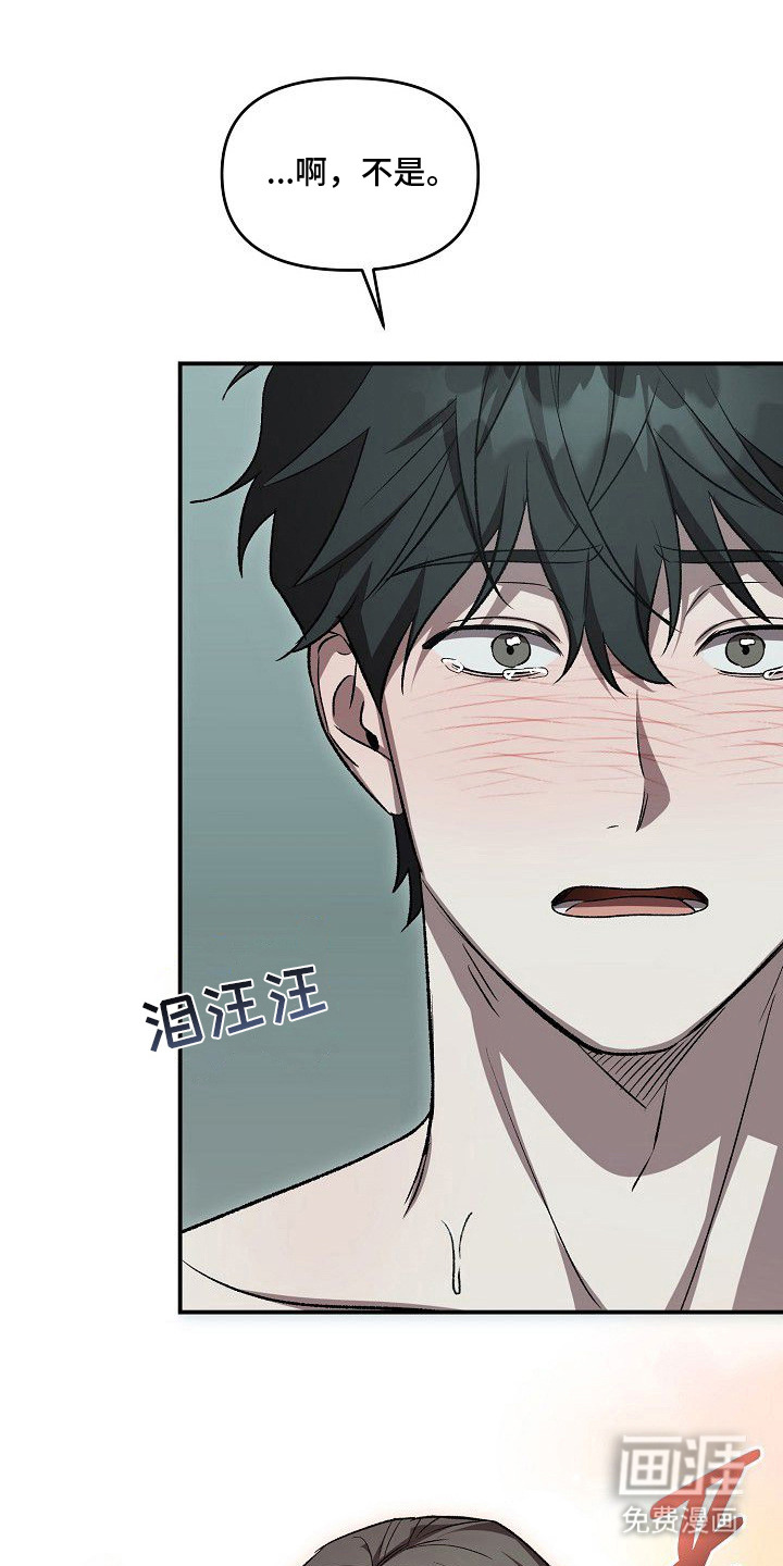 第14话：第14章：不可或缺（完结）预览分镜