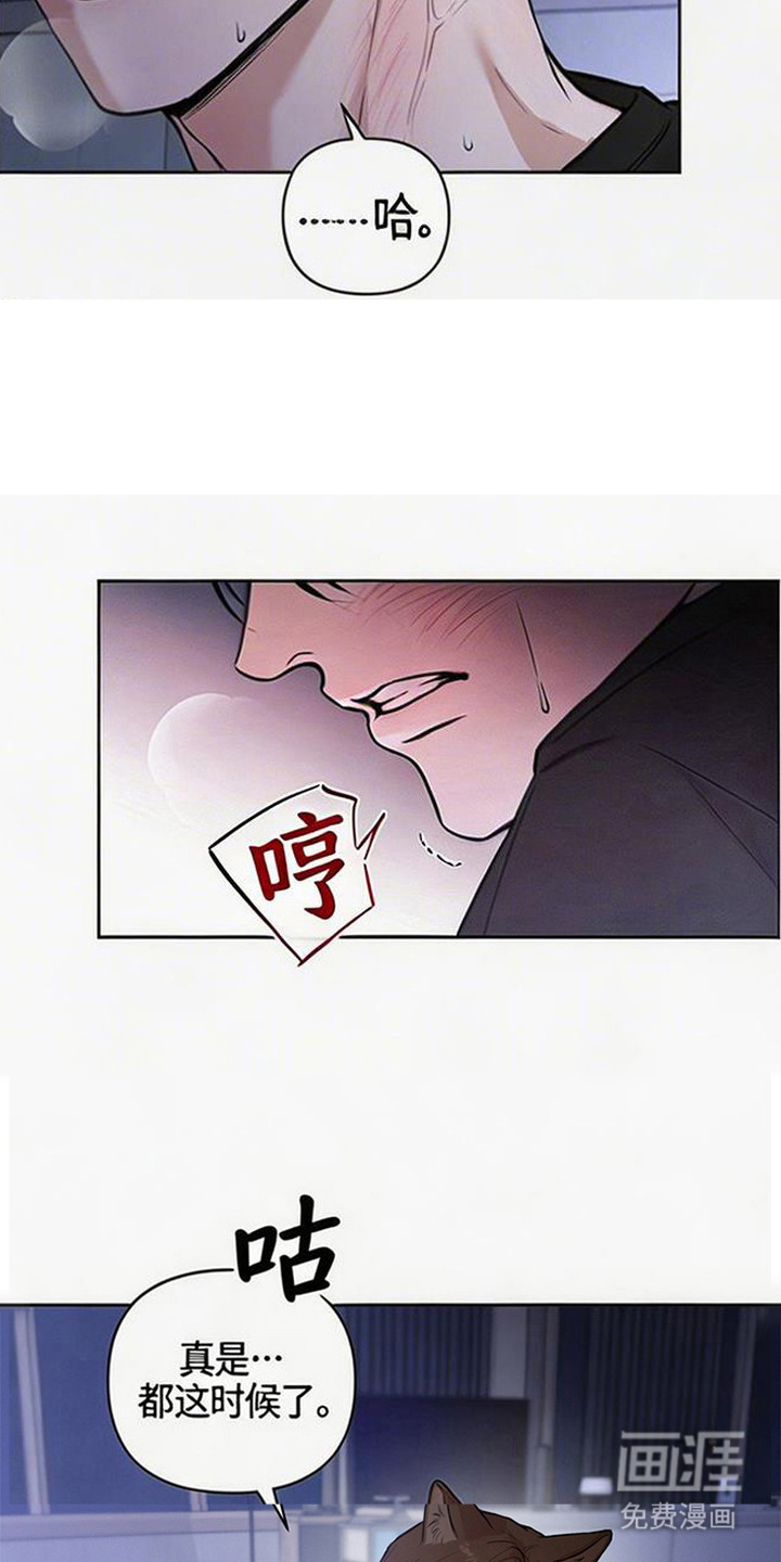 第11话：第11章：好累预览分镜
