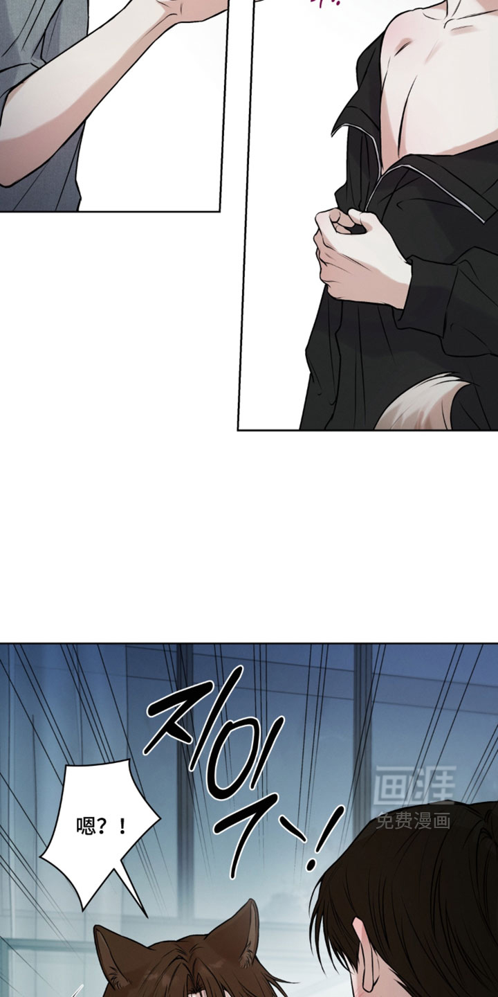 第15话：第15章：全都死了预览分镜
