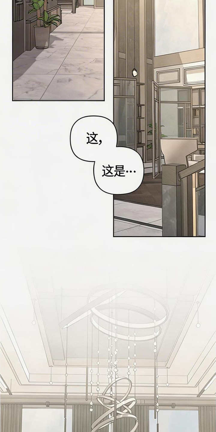 第10话：第10章：暂时合作预览分镜